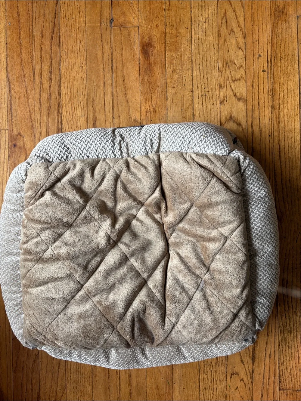 Wags & Smiles Plush Pet Bed in Taupe